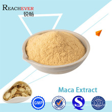 Pure Natural Maca Extract Peruvian Maca Powder HPLC for Male Health